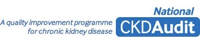 CKD Audit logo