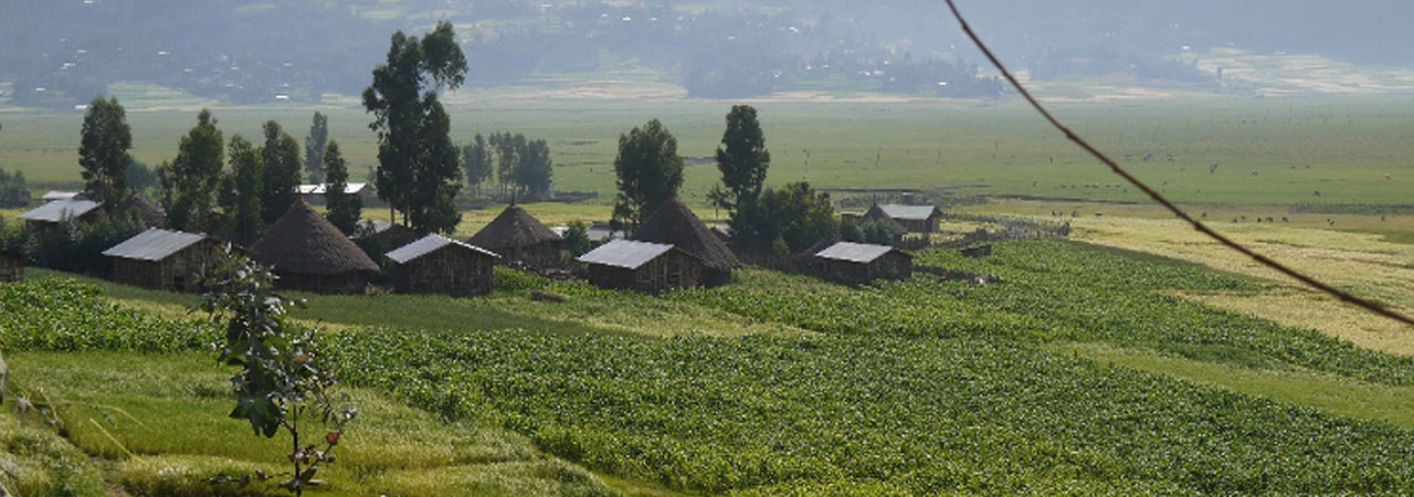 Amhara region, Ethiopia. Credit: Saba Lambert, 2014