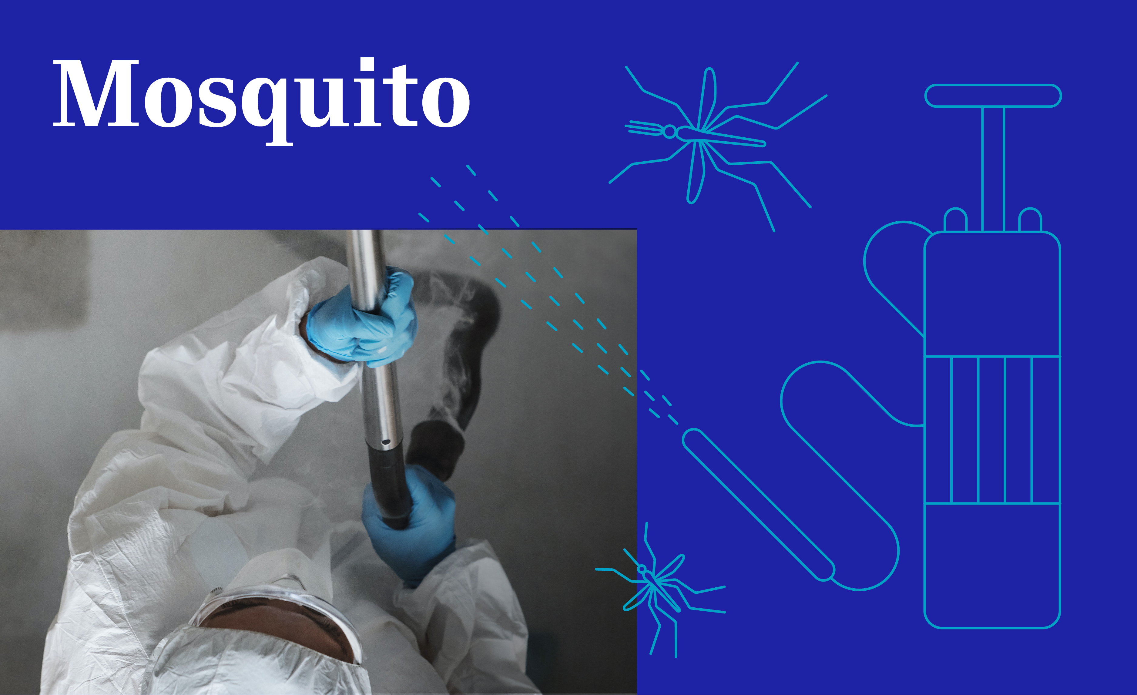 mosquito-reseacrh-section