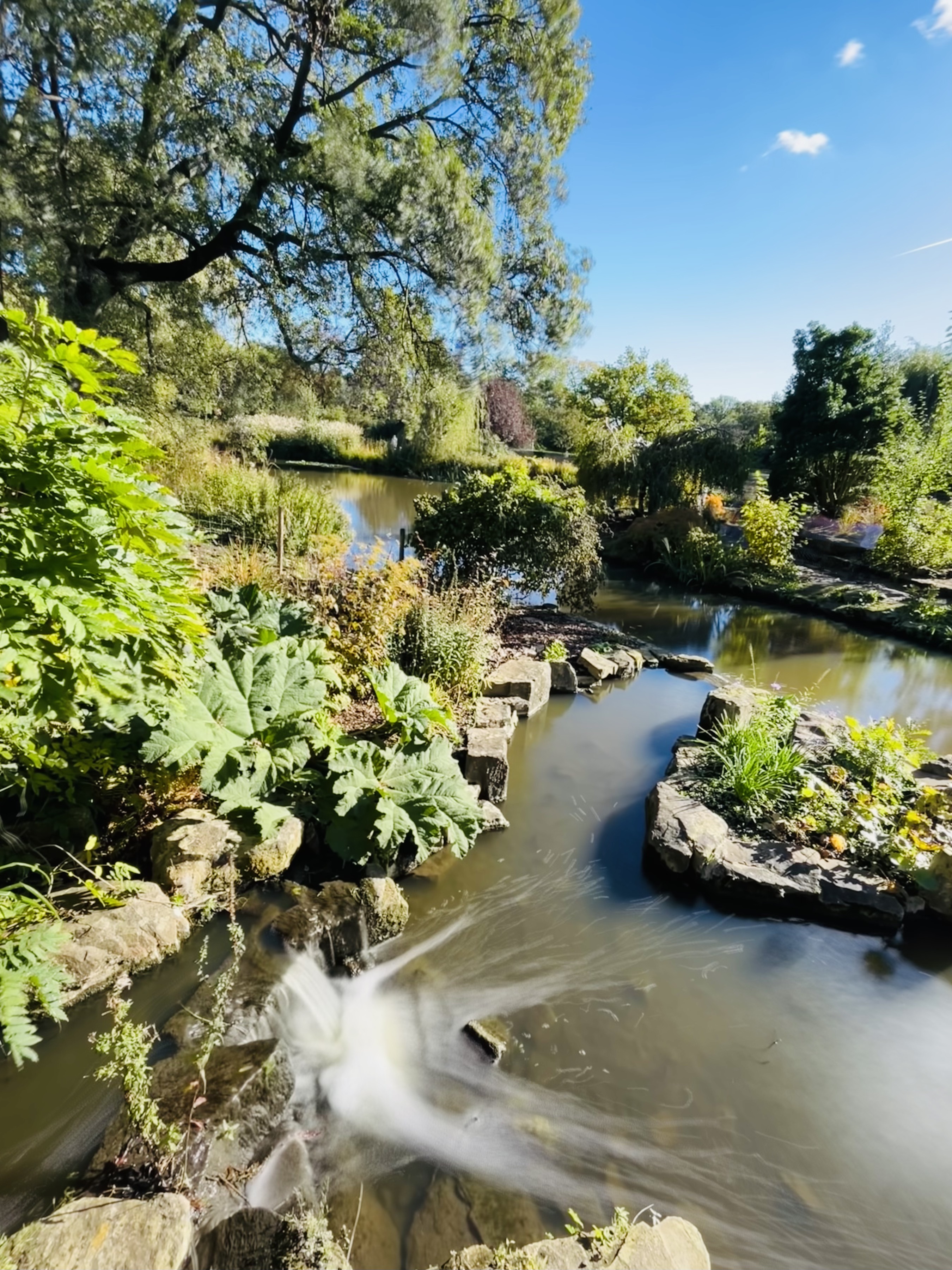 Queen Mary&#039;s Rose Gardens