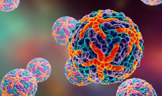 Dengue virus
