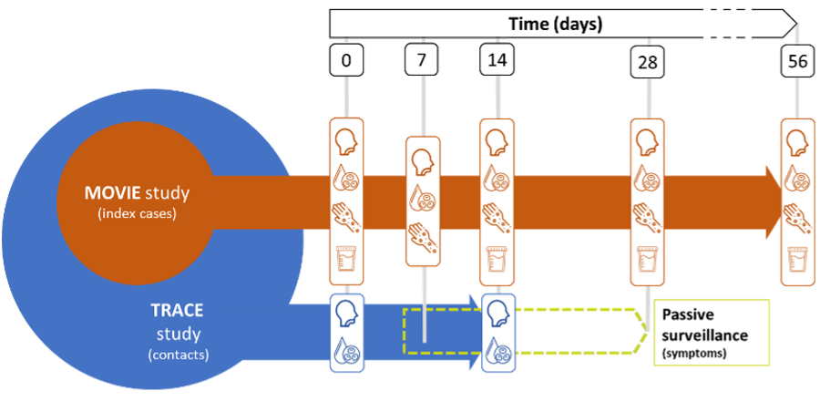 MOVIE-TRACE study diagrams