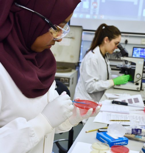 students in microbiology lab