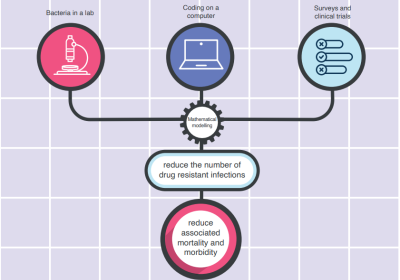 Graphic showing how we brought together interdisciplinary AMR modelling research fields that use mathematical modelling as a tool to answer important questions about AMR. 