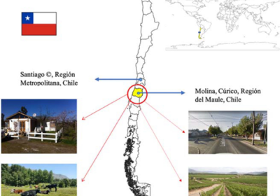 Study location: Maule region is located in Chile&#039;s central-southern zone, where the rural-agricultural town of Molina is situated.