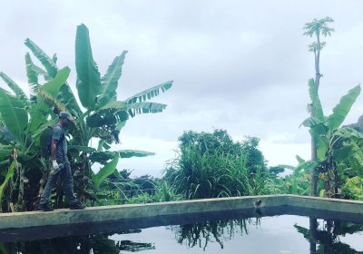 Typical mosquito breeding site in Cabo Verde – one of the countries in West Africa aiming for malaria elimination. © Adilson de Pina