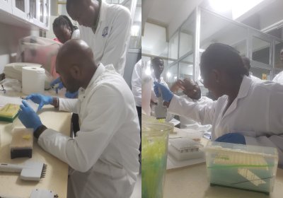Dr Ebenezer Foster-Nyarko of the Holt group (second from left, Pic.2), LSHTM, training Scientists at the University of Cape Coast in DNA extraction methodology.
