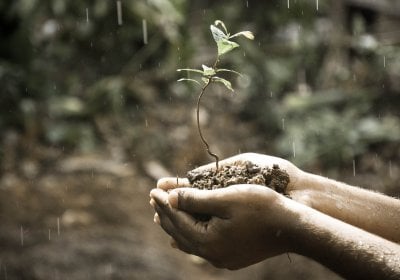 Centre on Climate Change and Planetary Health launch 