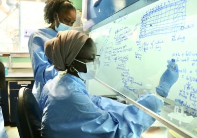 Malaria Population Biology Group hosts ex-vivo antimalaria drug susceptibility training