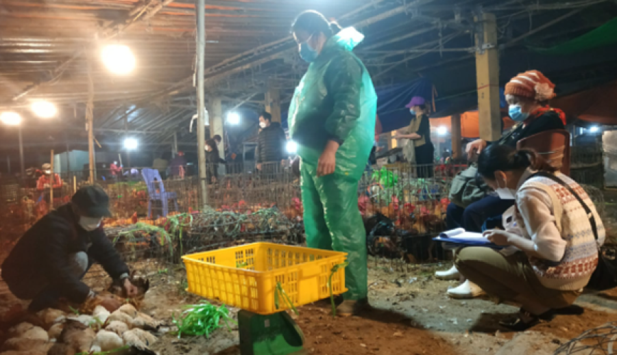 Night market sampling in Vietnam Night market sampling in Vietnam