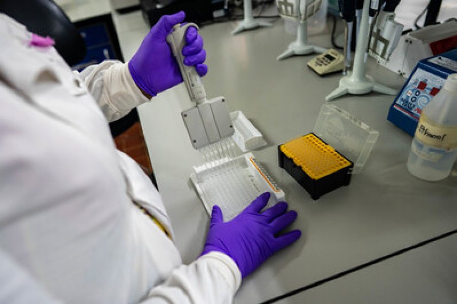 Scientific officer working in the Genomics Laboratory Scientific officer working in the Genomics Laboratory