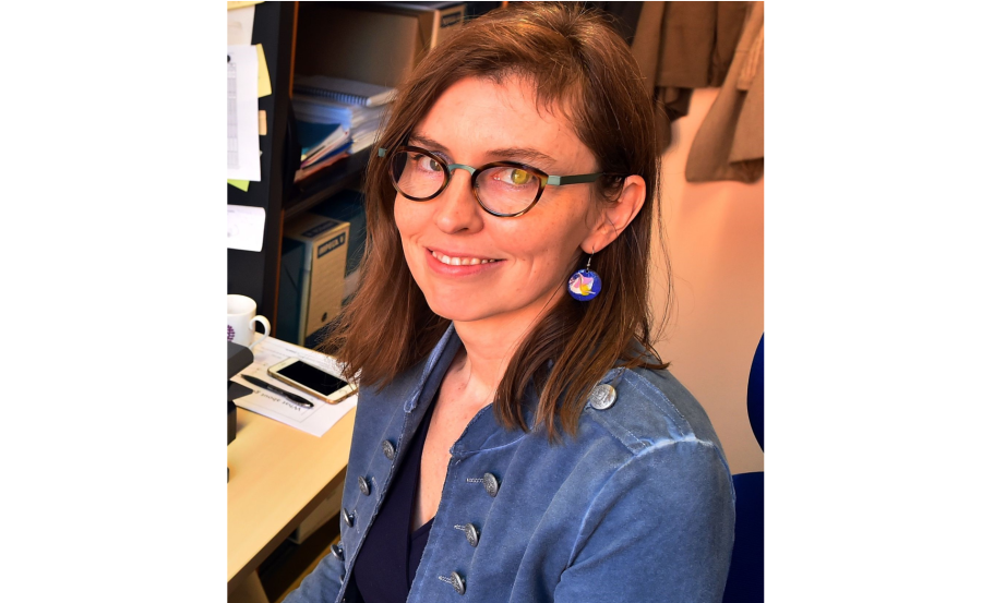 Michelle Kelly-Irving, Social epidemiologist, Director of the Equity research team