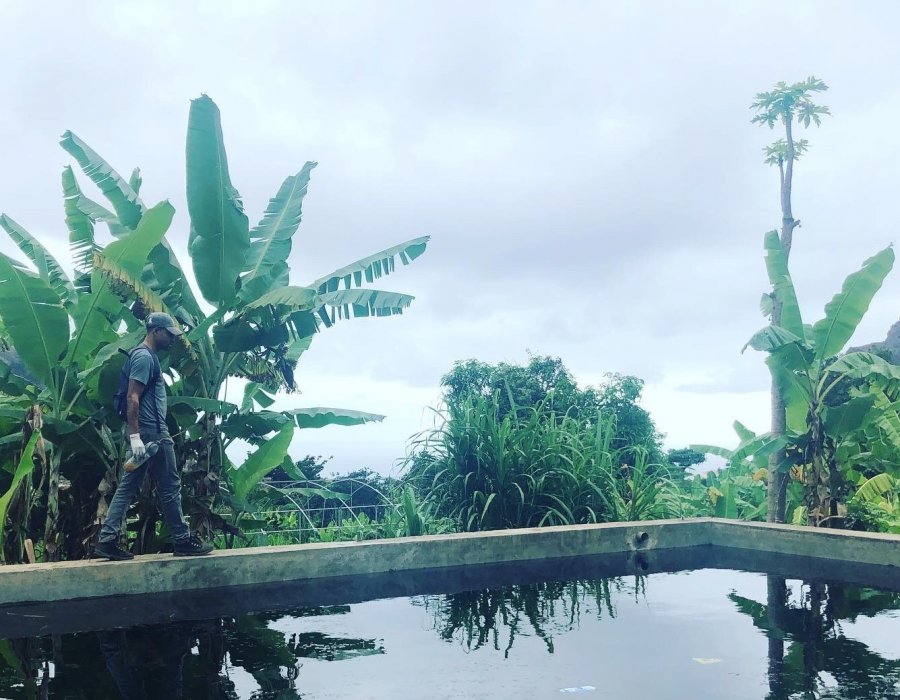 Typical mosquito breeding site in Cabo Verde – one of the countries in West Africa aiming for malaria elimination. © Adilson de Pina