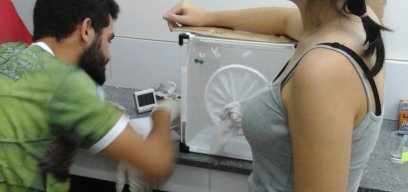 Testing mosquito for sensitivity to DEET
