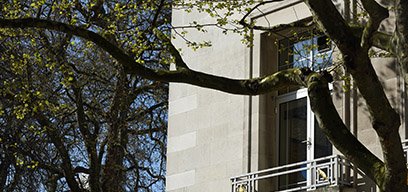 Trees outside the Keppel Street building