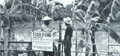 Fish pond