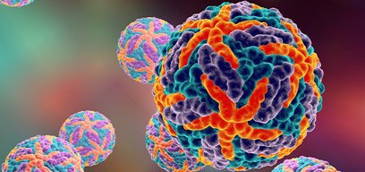 Dengue virus molecules
